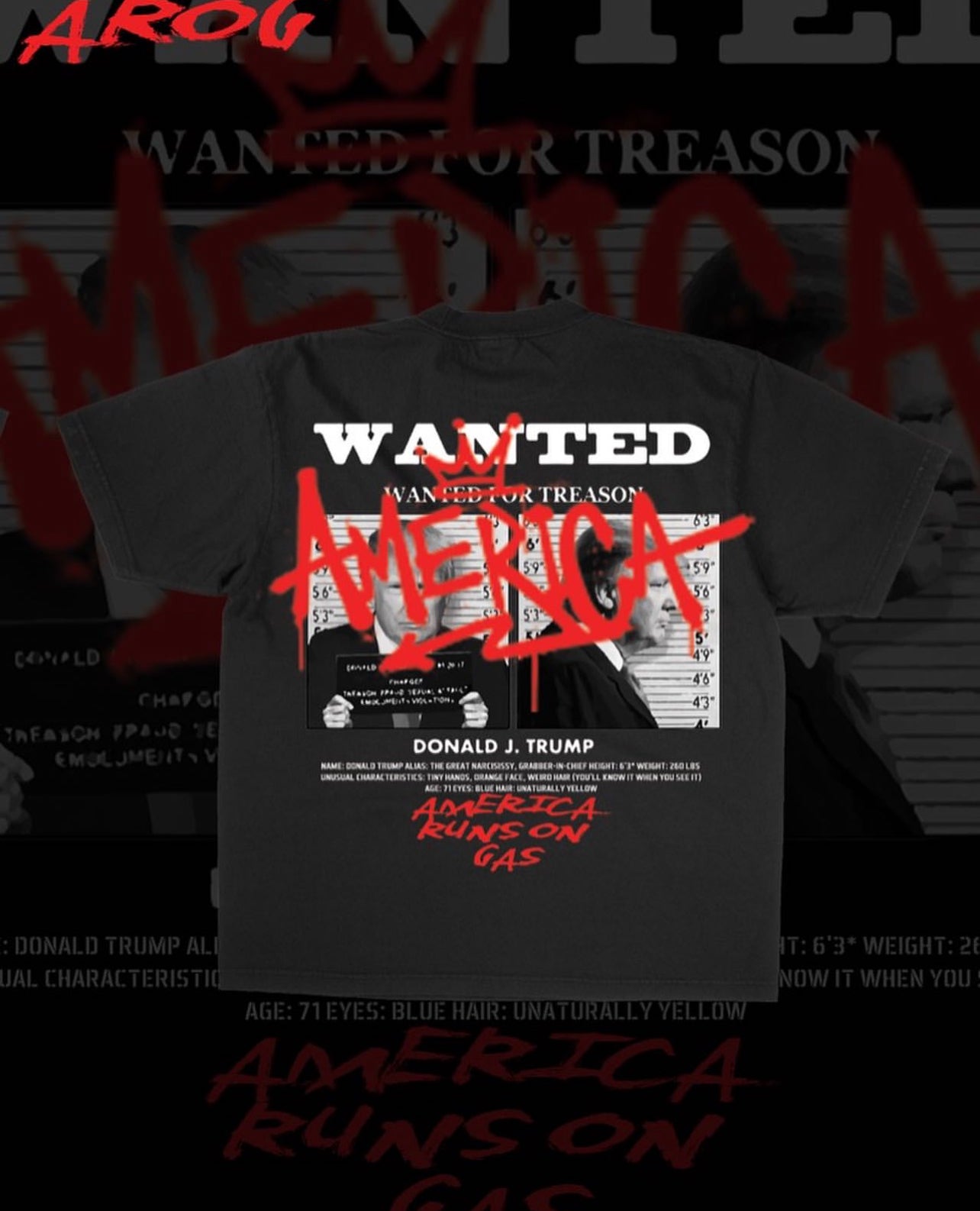 'WANTED IN AMERICA'